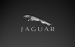 jaguar-leaper-logo-carbon-fiber-1440x900