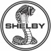 shelby5